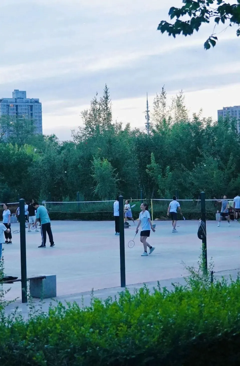 业余篮球爱好者怎样利用智能化平台提升水平_1
